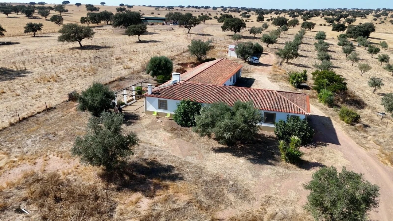 Quinta T7 para Venda em Albernoa e Trindade Foto 7