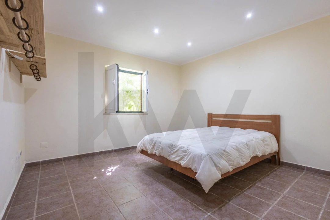 Quinta T7 para Venda em Albernoa e Trindade Foto 14