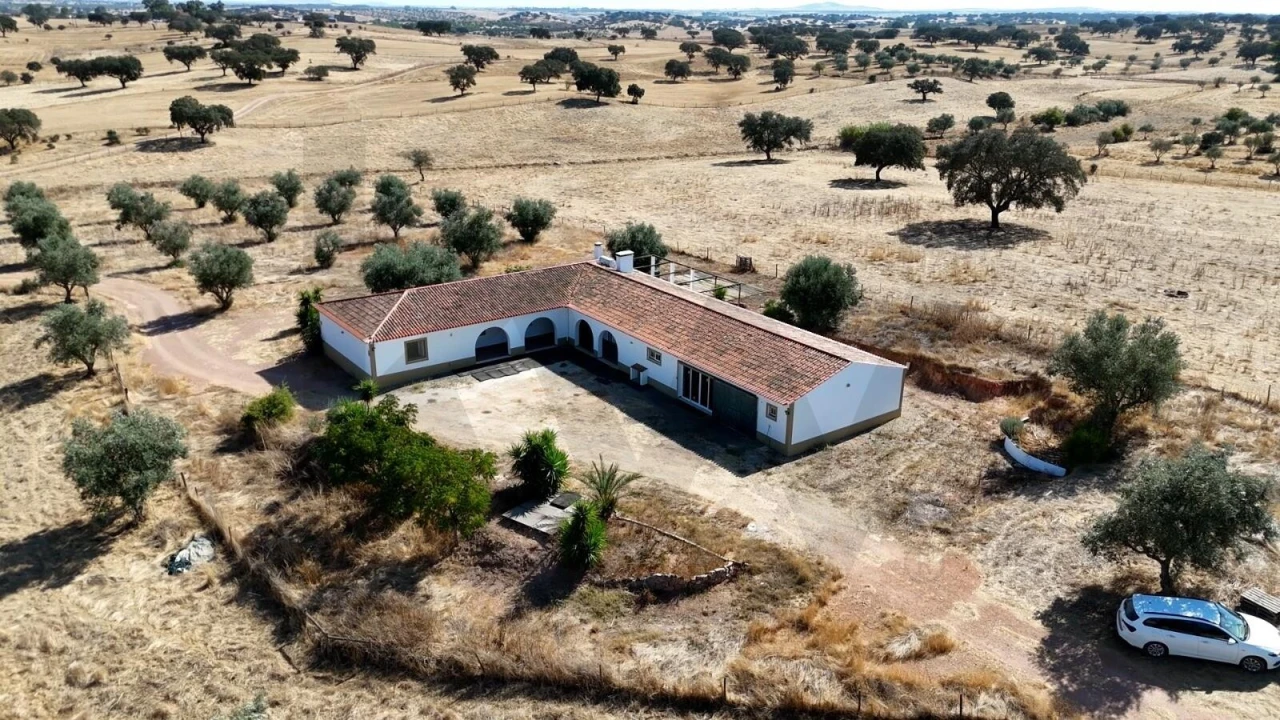 Quinta T7 para Venda em Albernoa e Trindade Foto 2