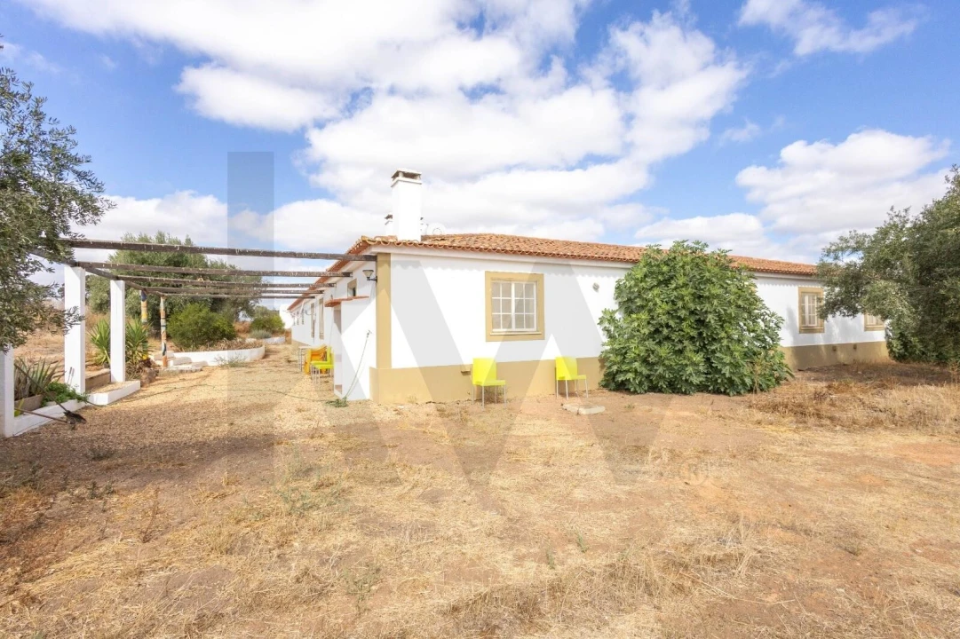 Quinta T7 para Venda em Albernoa e Trindade Foto 12