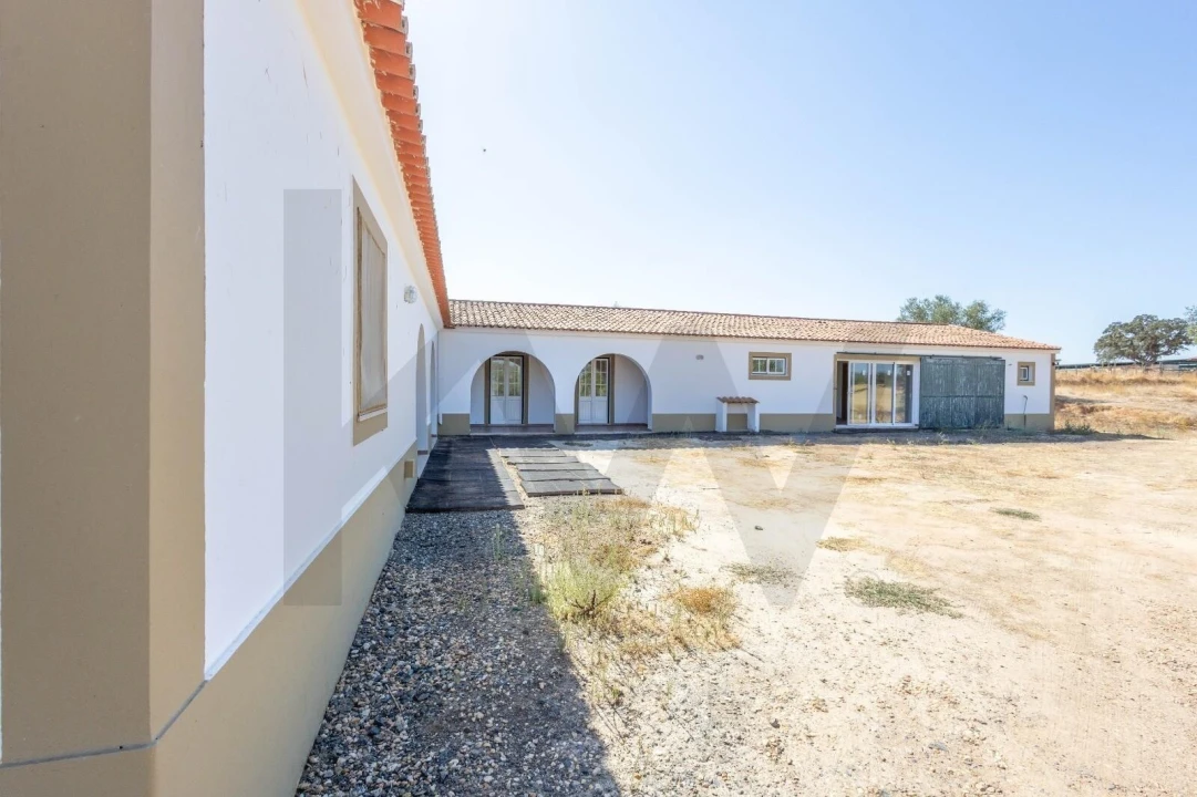 Quinta T7 para Venda em Albernoa e Trindade Foto 5