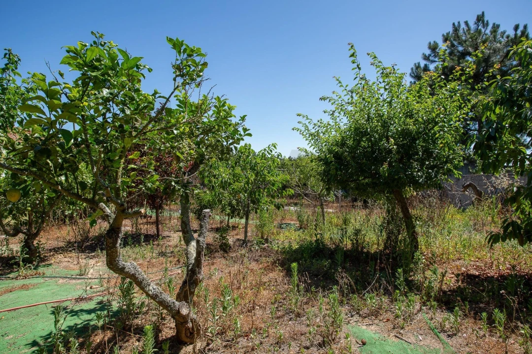 Moradia T3 para Venda em Mafra Foto 48