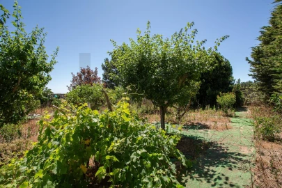 Moradia T3 para Venda em Mafra