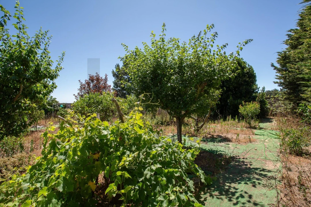 Moradia T3 para Venda em Mafra Foto 47