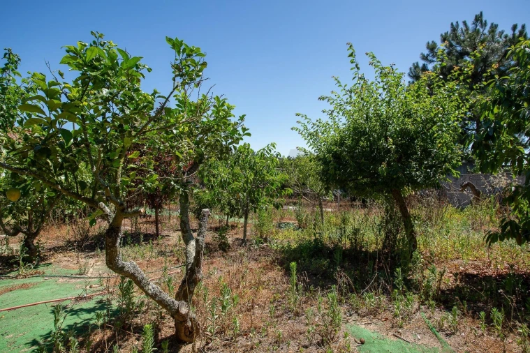 Moradia T3 para Venda em Mafra Foto 48