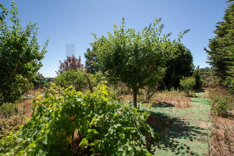 Moradia T3 para Venda em Mafra Foto 47