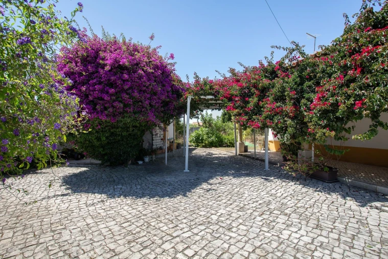 Moradia T3 para Venda em Mafra Foto 41