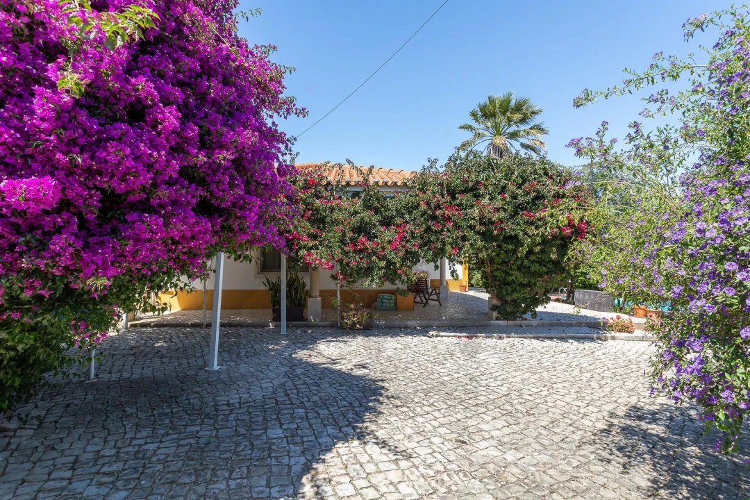 Moradia T3 para Venda em Mafra Foto 42