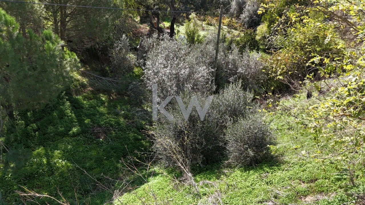 Terreno para Venda em Santa Clara-A-Velha Foto 7