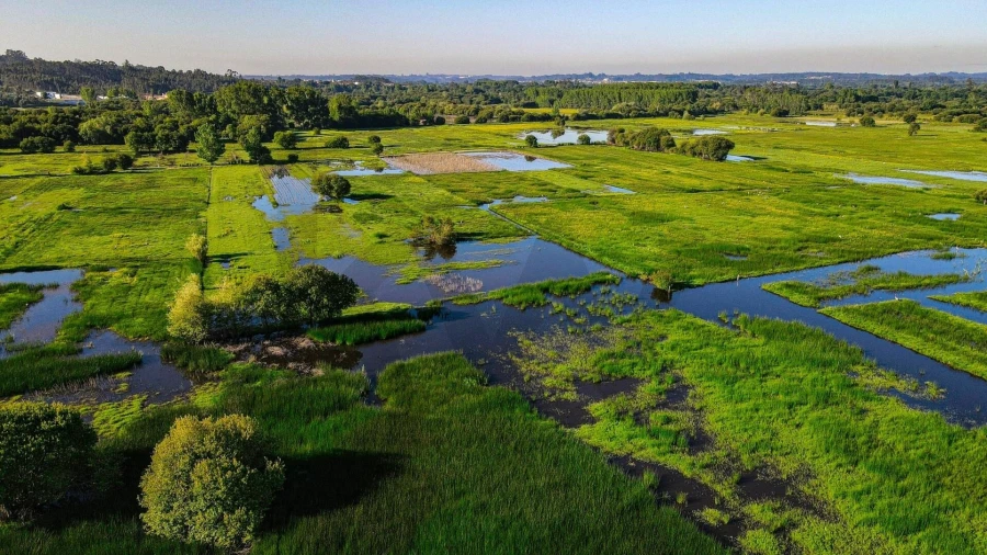 Moradia T5 para Venda em São João de Loure e Frossos Foto 30
