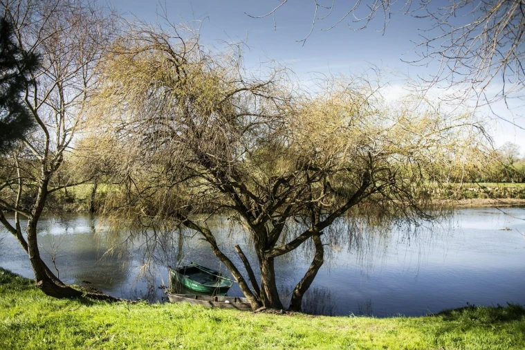 Moradia T5 para Venda em São João de Loure e Frossos Foto 33