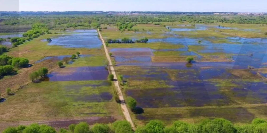 Moradia T5 para Venda em São João de Loure e Frossos Foto 32