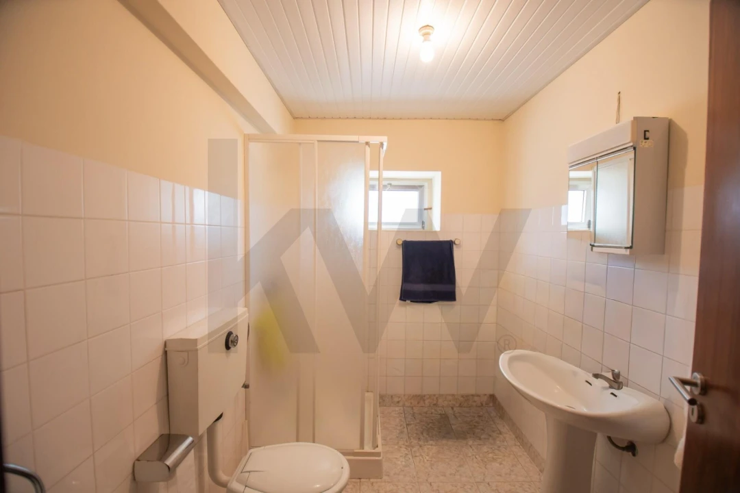 Moradia T5 para Venda em São João de Loure e Frossos Foto 24