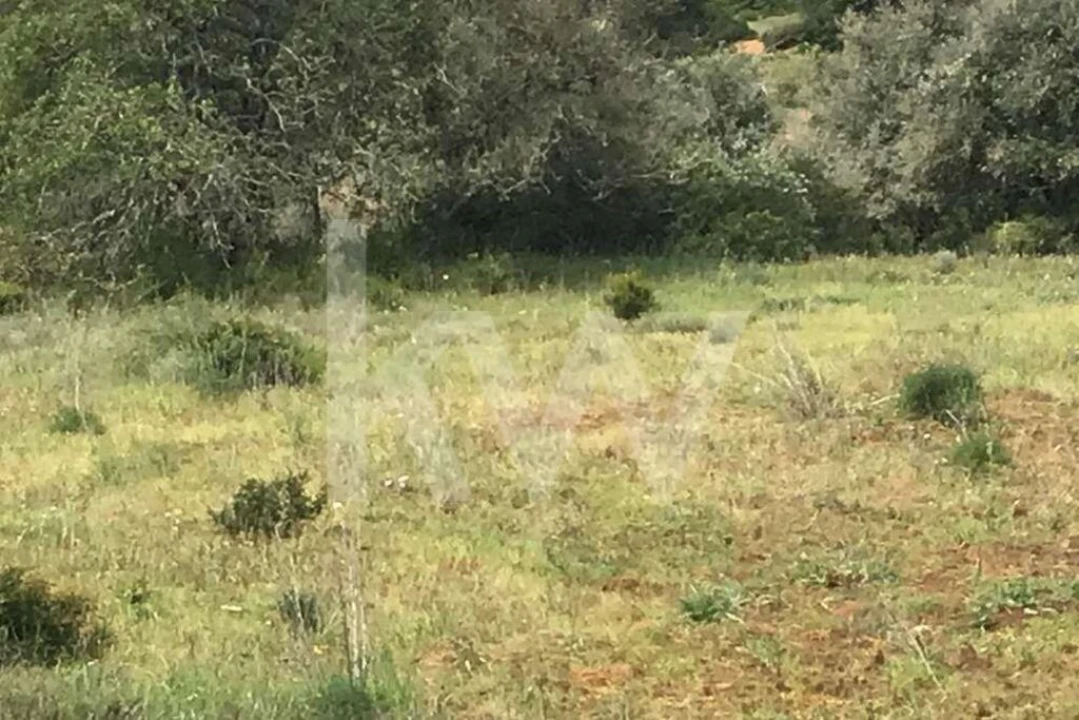 Terreno para Venda em Porches Foto 5