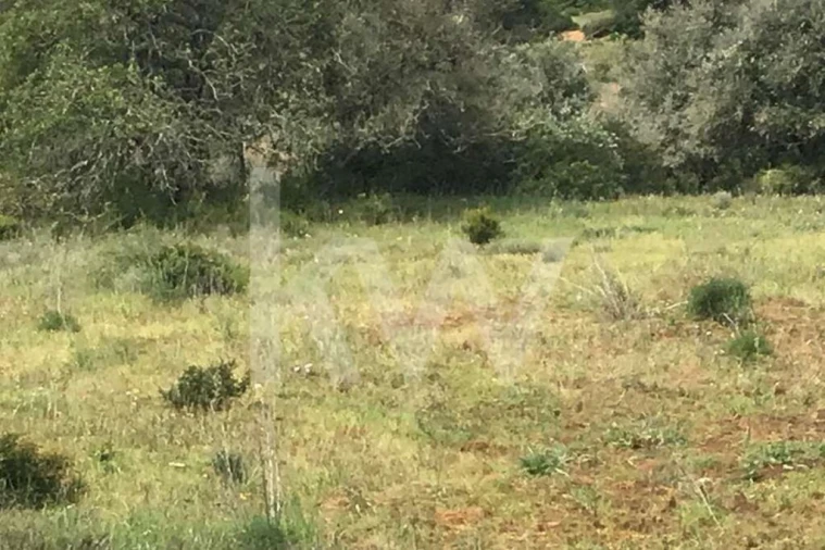 Terreno para Venda em Porches Foto 5