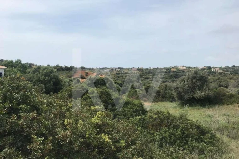 Terreno para Venda em Porches Foto 6