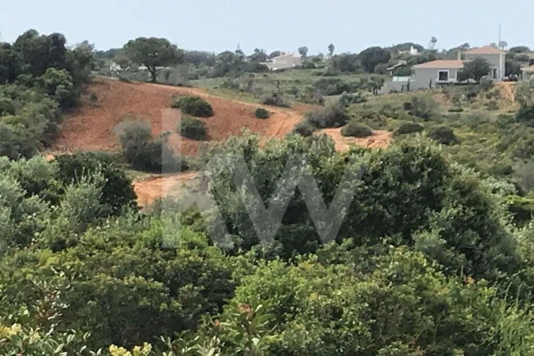 Terreno para Venda em Porches