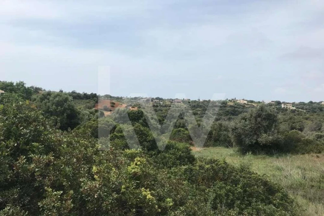 Terreno para Venda em Porches Foto 7