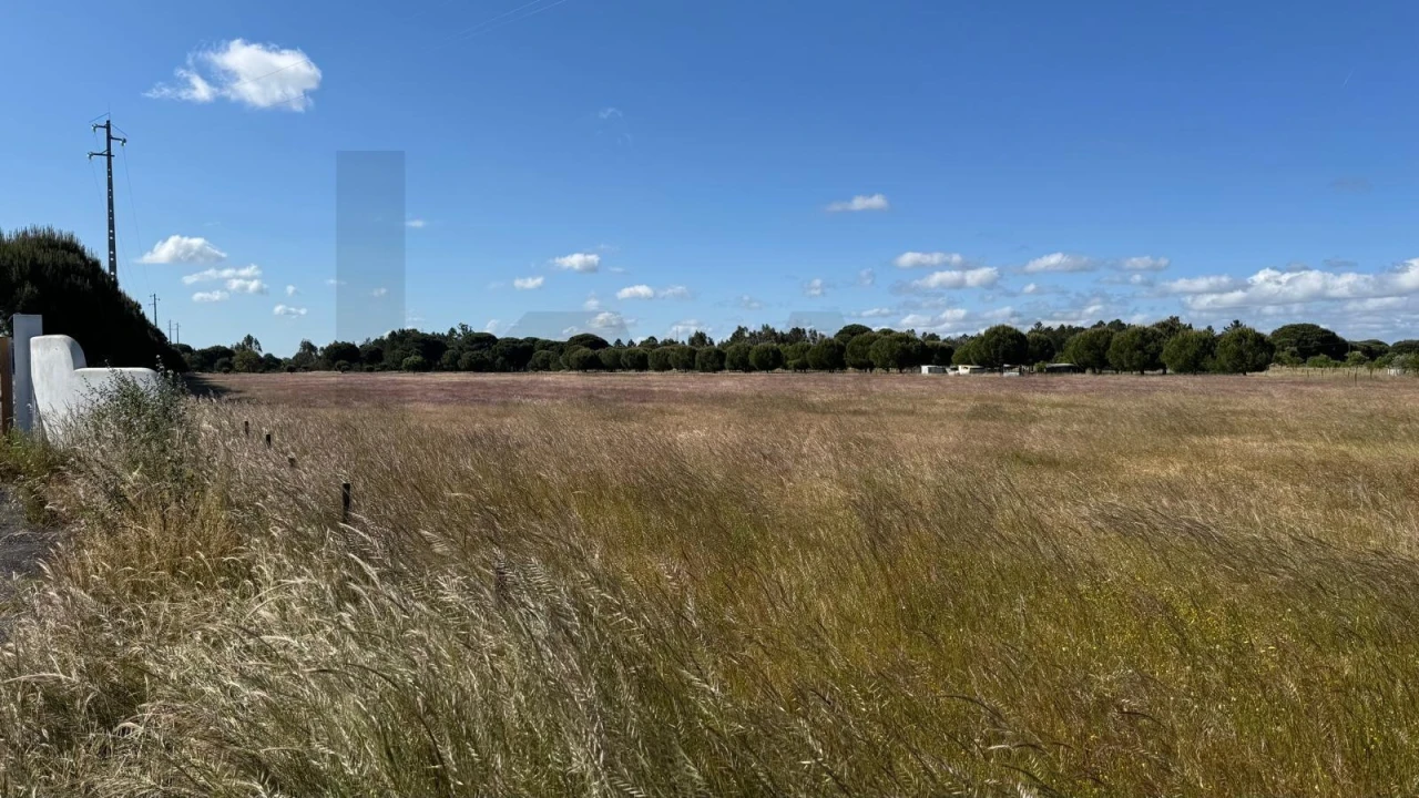 Terreno para Venda em Grândola e Santa Margarida da Serra Foto 3