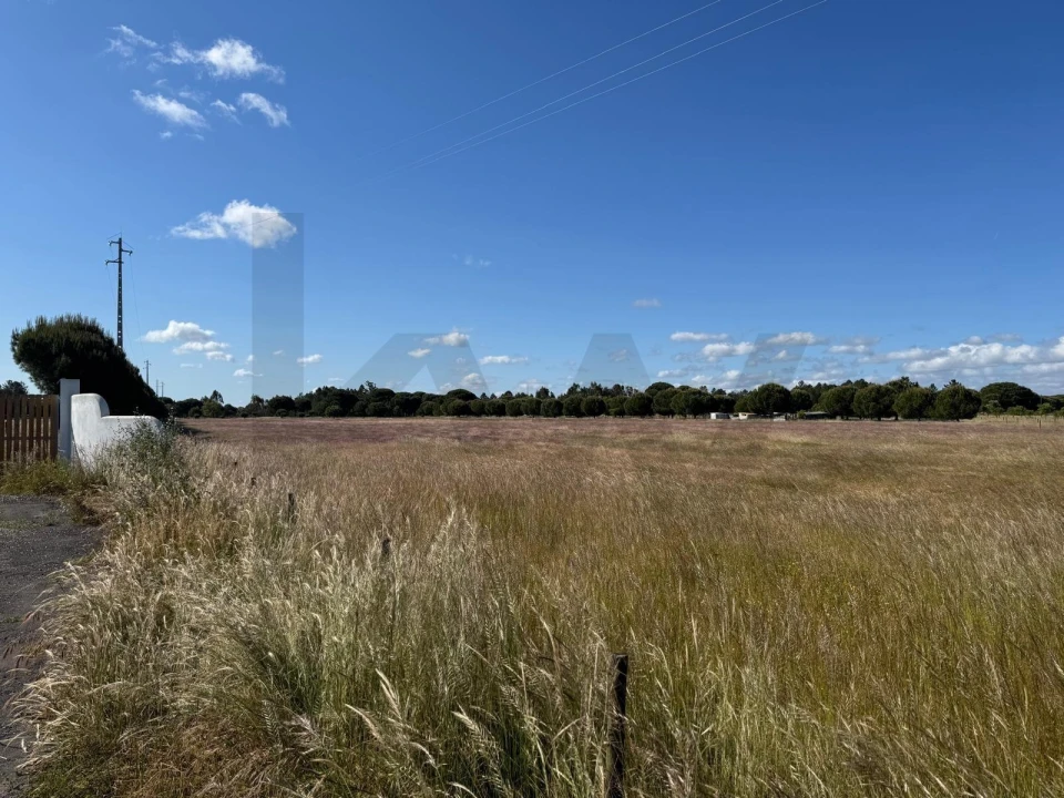 Terreno para Venda em Grândola e Santa Margarida da Serra Foto 7