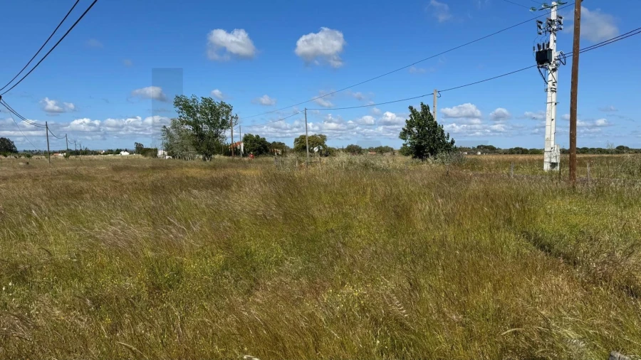 Terreno para Venda em Grândola e Santa Margarida da Serra Foto 4