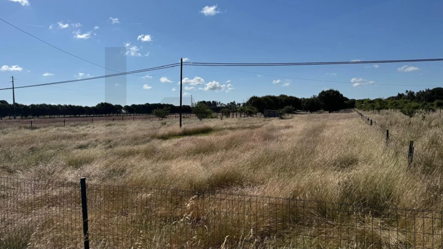 Terreno para Venda em Grândola e Santa Margarida da Serra Foto 13