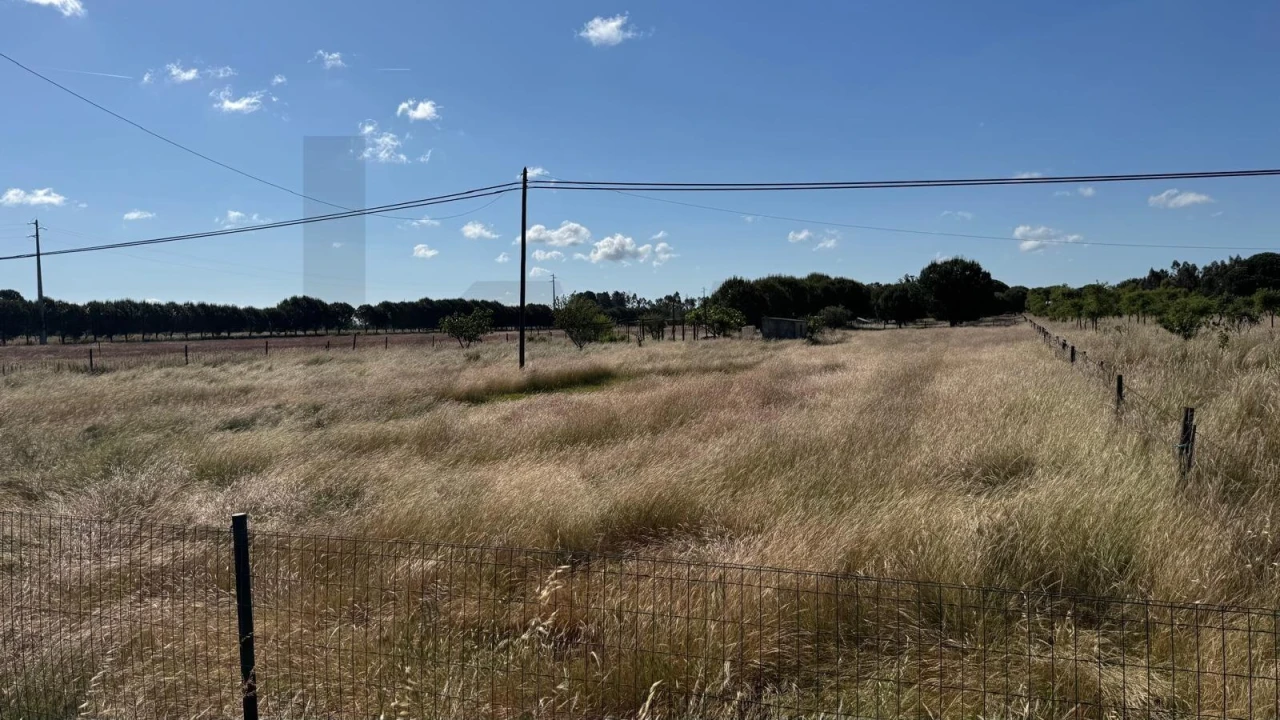 Terreno para Venda em Grândola e Santa Margarida da Serra Foto 13
