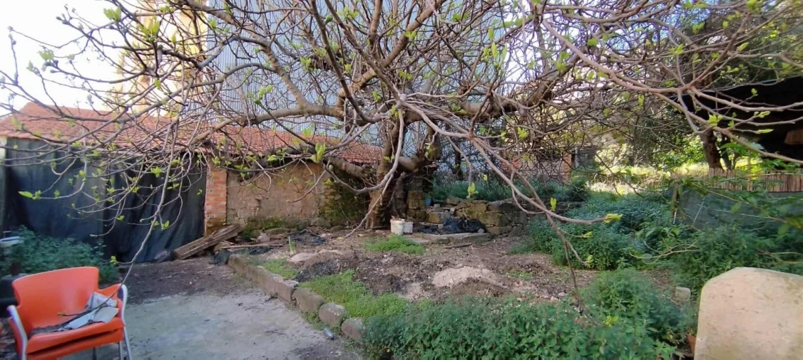 Prédio para Venda em Castelo Branco Foto 14