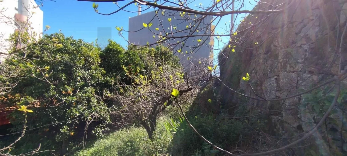 Prédio para Venda em Castelo Branco Foto 16