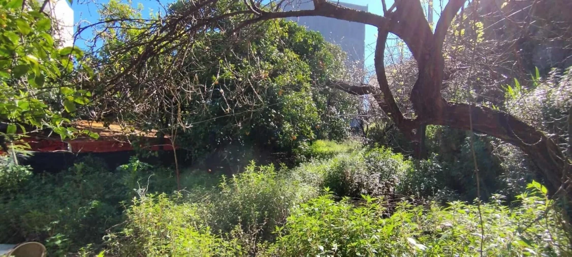 Prédio para Venda em Castelo Branco Foto 12