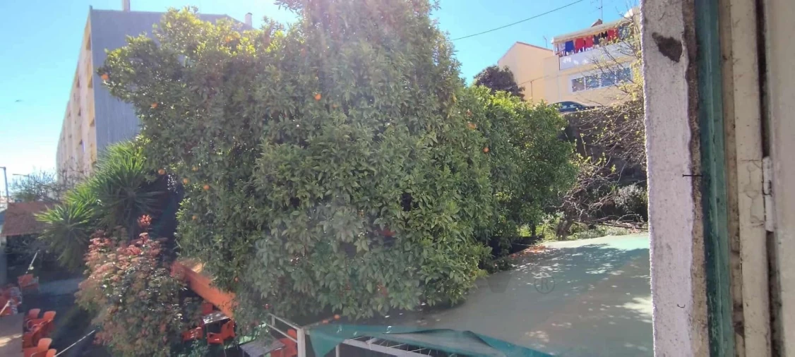 Prédio para Venda em Castelo Branco Foto 13