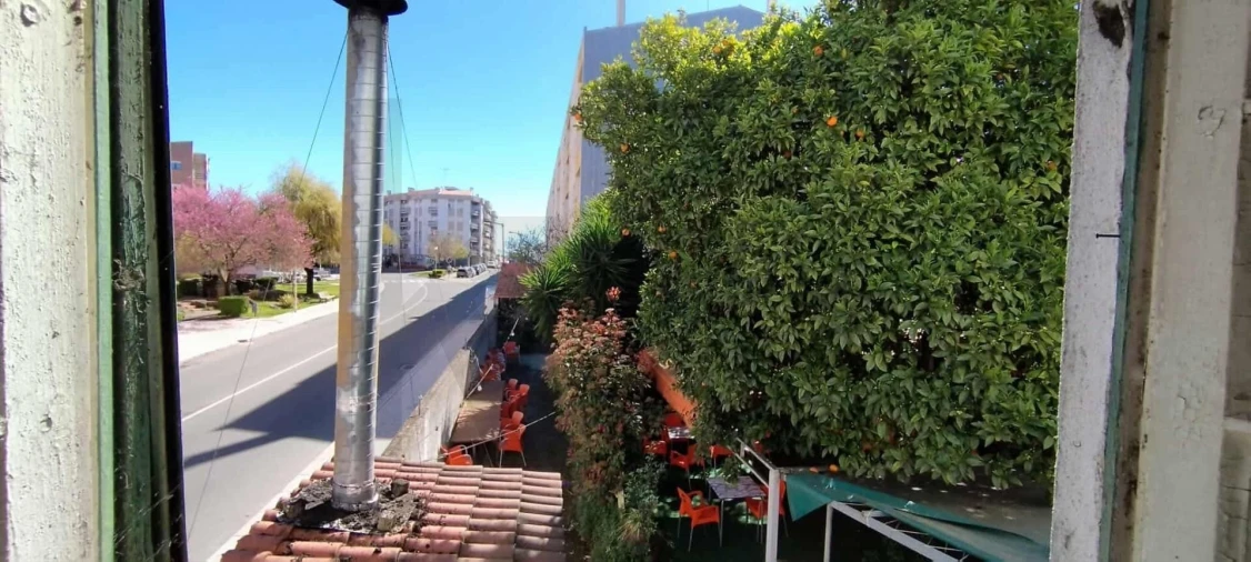 Prédio para Venda em Castelo Branco Foto 10