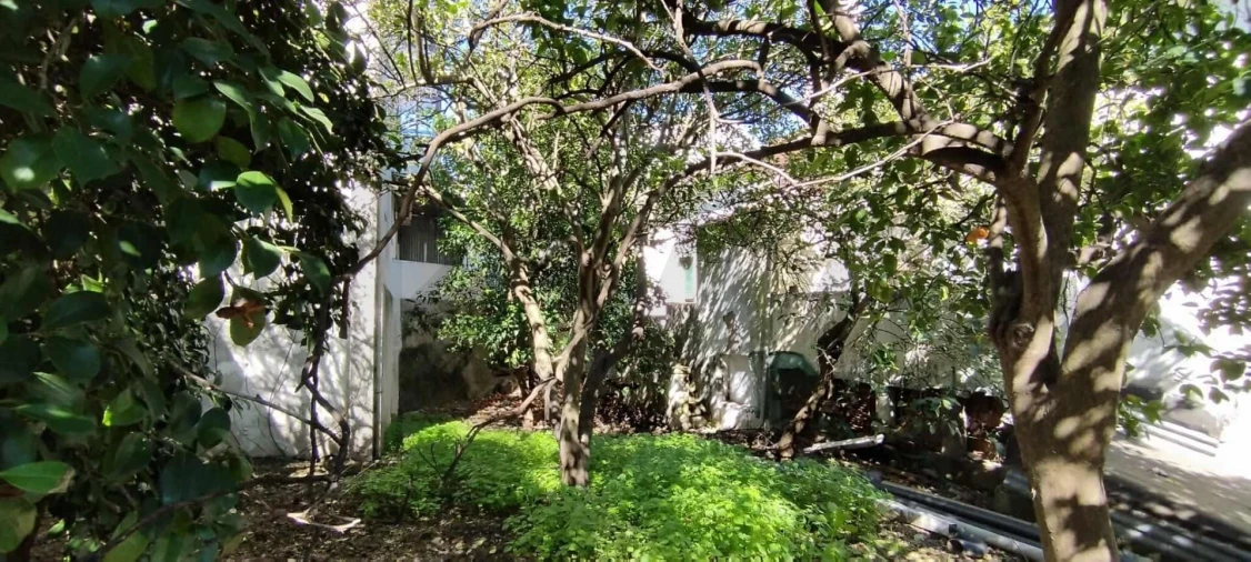 Prédio para Venda em Castelo Branco Foto 9