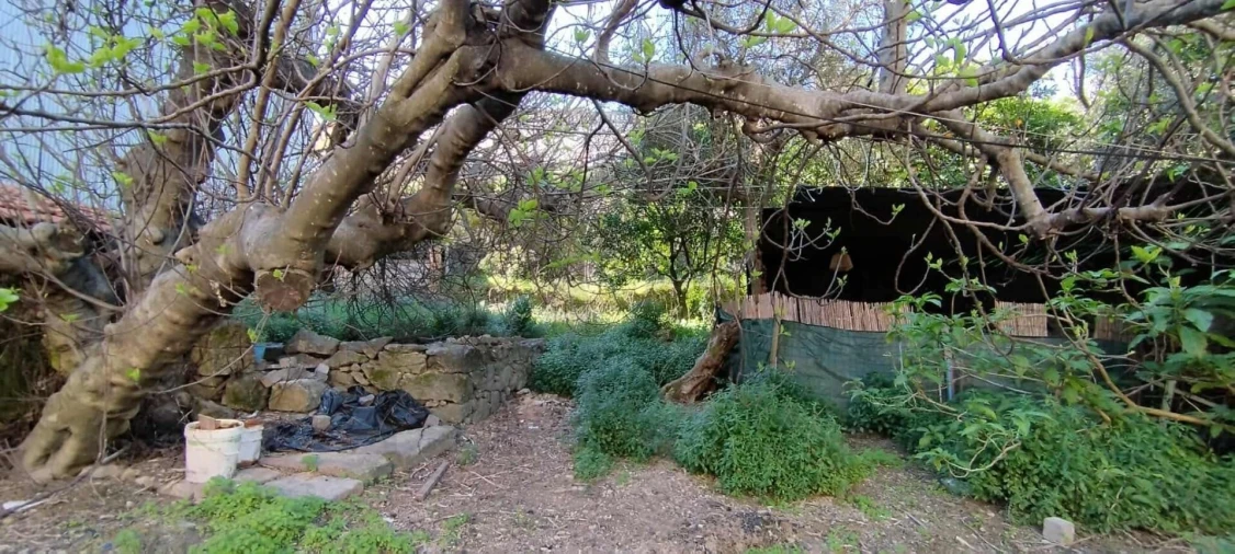 Prédio para Venda em Castelo Branco Foto 11