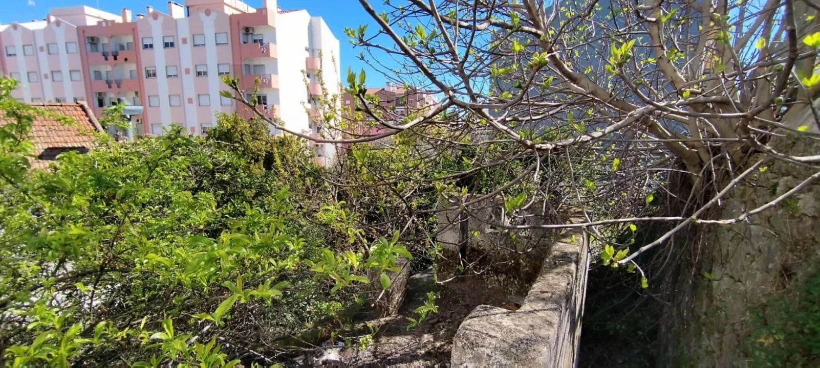 Prédio para Venda em Castelo Branco Foto 15