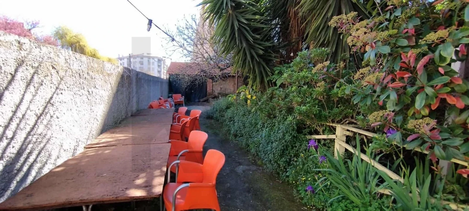 Prédio para Venda em Castelo Branco Foto 19