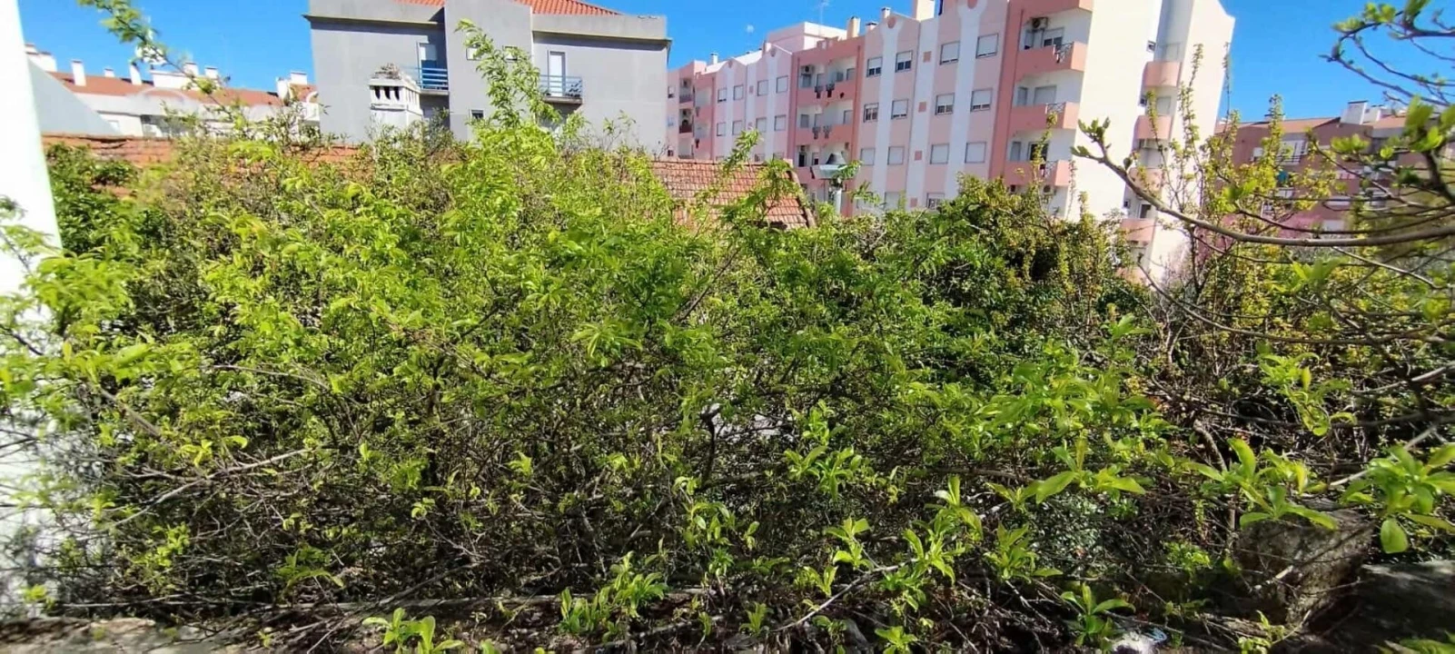 Prédio para Venda em Castelo Branco Foto 17
