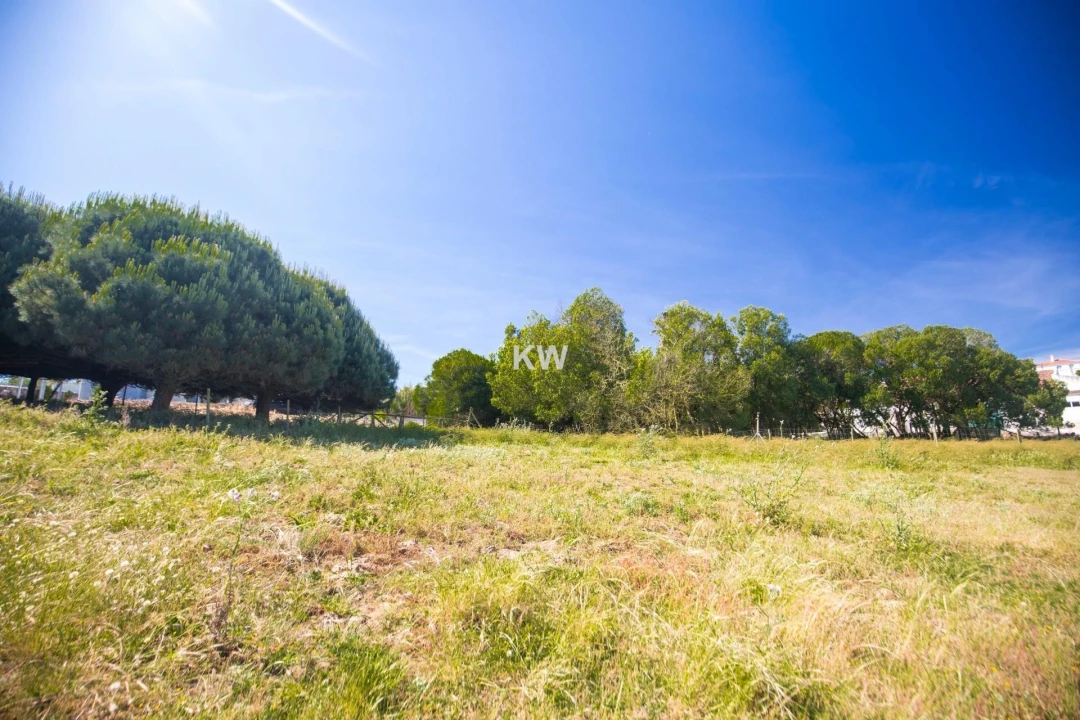 Moradia T3 para Venda em Encarnação Foto 14