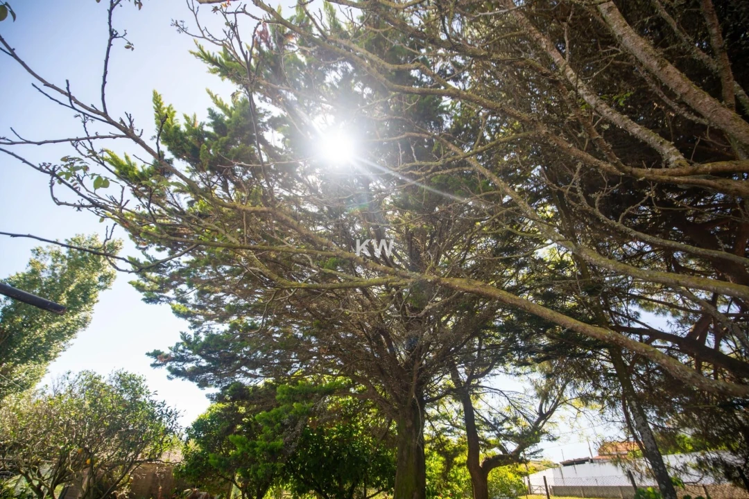 Moradia T3 para Venda em Encarnação Foto 46