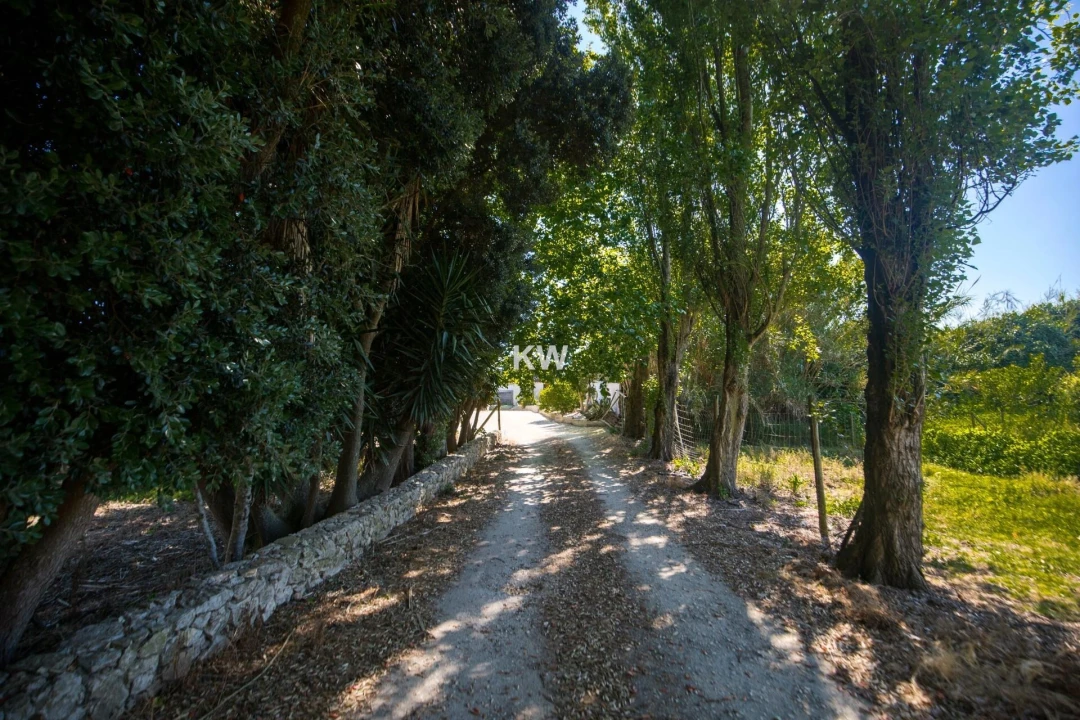 Moradia T3 para Venda em Encarnação Foto 47