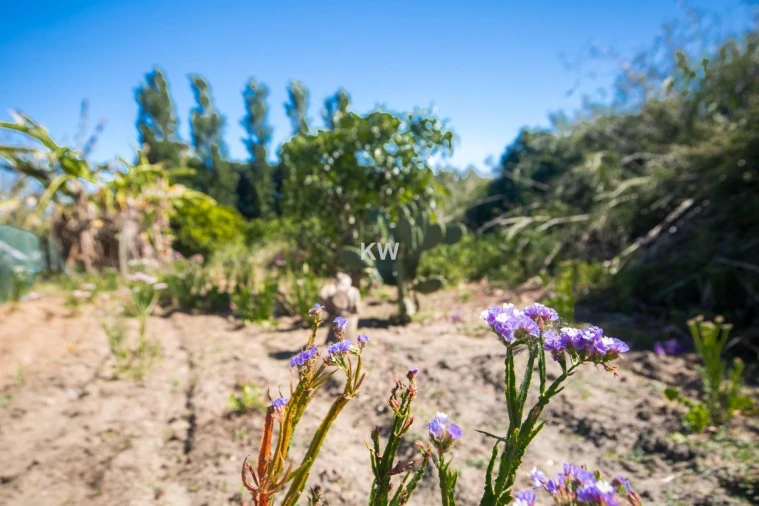 Moradia T5 para Venda em Encarnação Foto 7