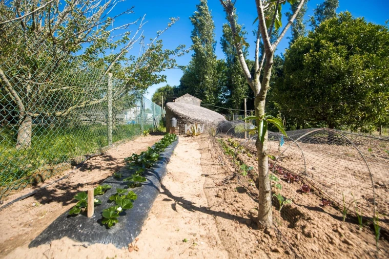 Moradia T5 para Venda em Encarnação Foto 9