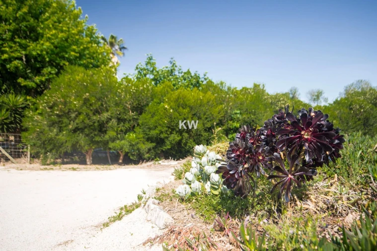 Moradia T5 para Venda em Encarnação Foto 18