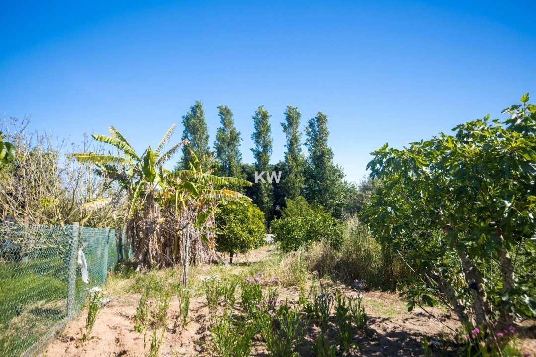 Moradia T3 para Venda em Encarnação Foto 8