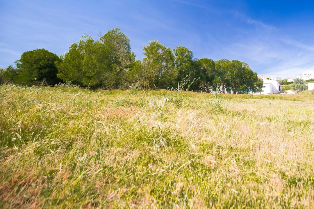 Moradia T3 para Venda em Encarnação Foto 15