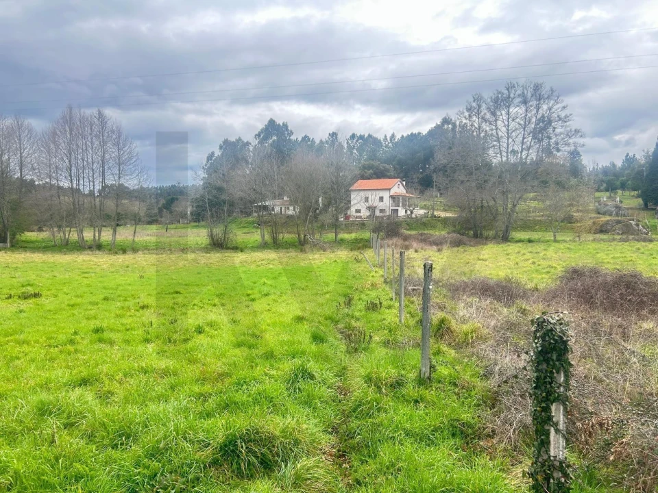 Terreno para Venda em São João da Boa Vista Foto 5
