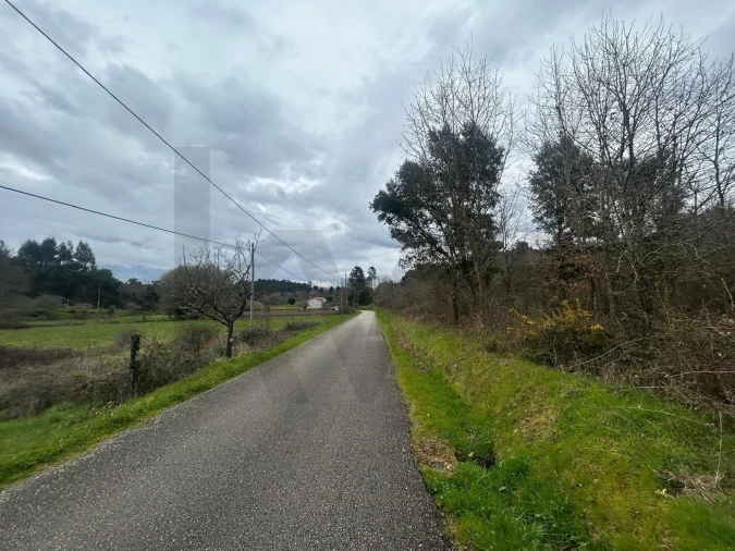 Terreno para Venda em São João da Boa Vista Foto 2