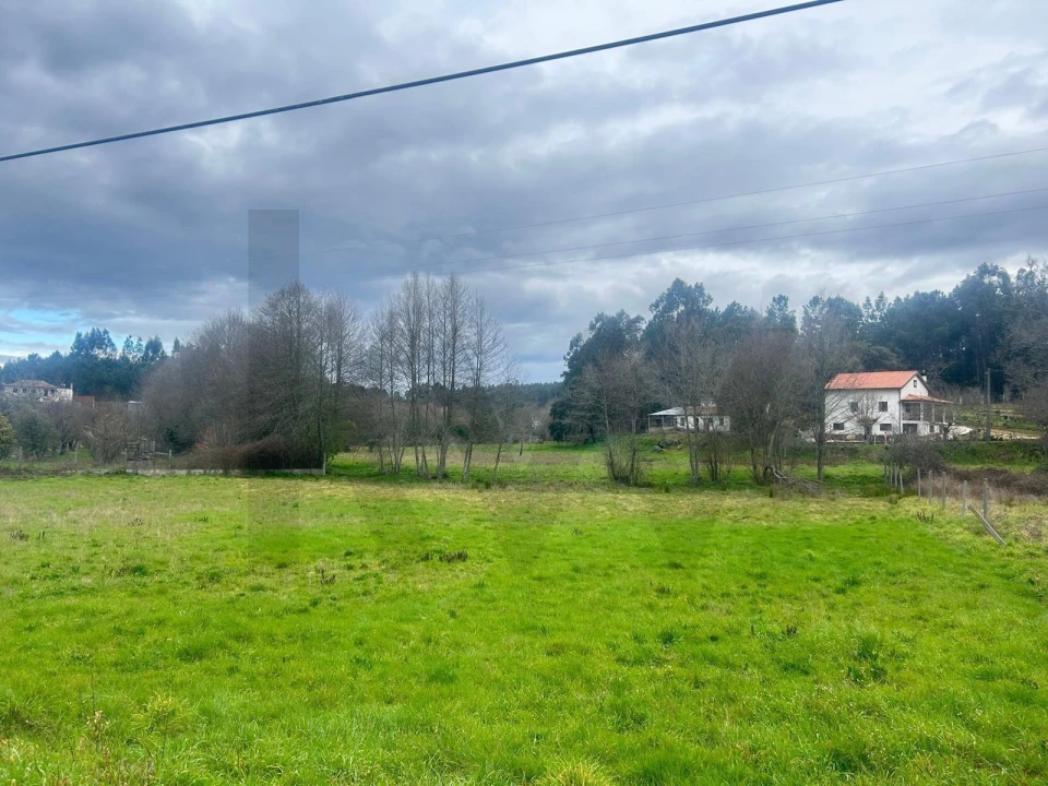 Terreno para Venda em São João da Boa Vista Foto 4