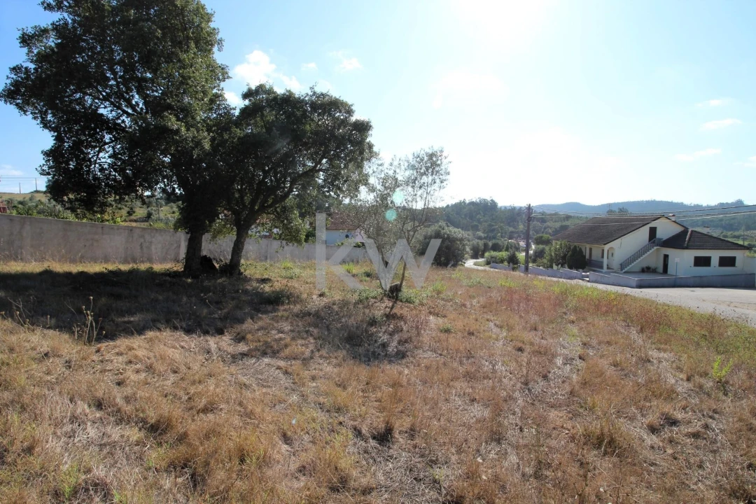 Terreno para Venda em Soure Foto 7
