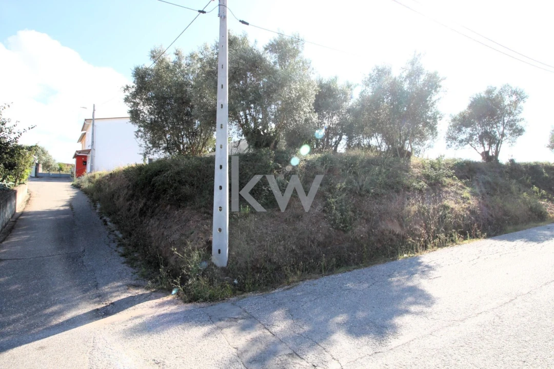 Terreno para Venda em Soure Foto 6